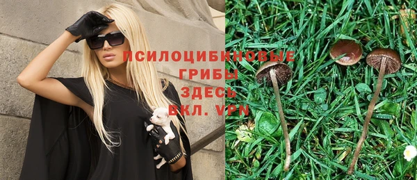 дмт Лихославль